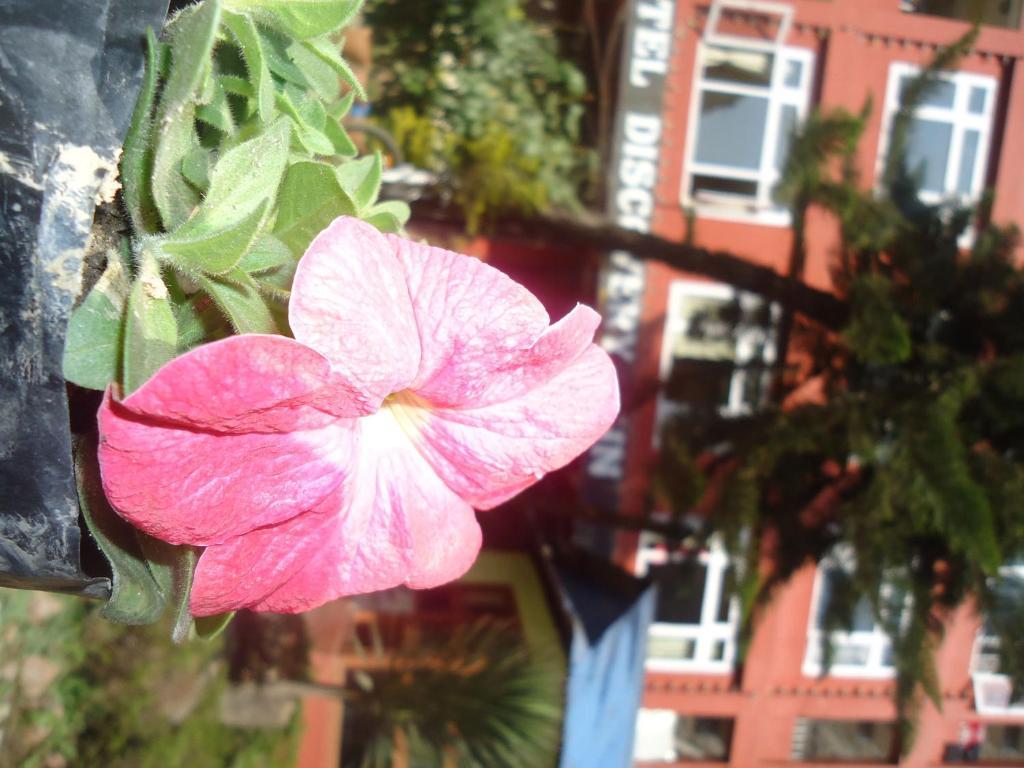 Hotel Discovery Inn Katmandu Eksteriør billede